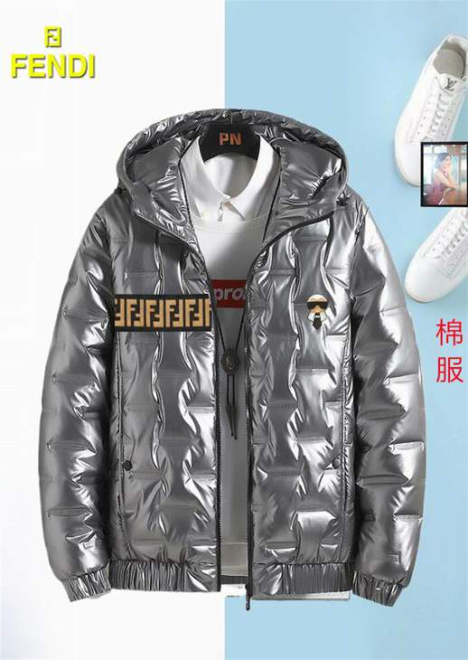 Picture of Fendi Down Jackets _SKUFendiM-3XL12yx0237740